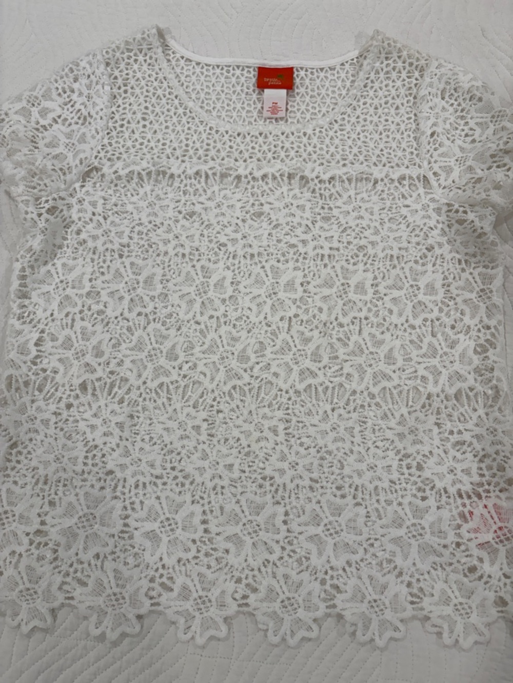 hearts of palm White Crochet Lace Short Sleeve Top - Picture 6 of 11